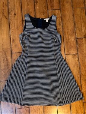 Banana Republic Navy and White Striped Sleeveless Mini Dress